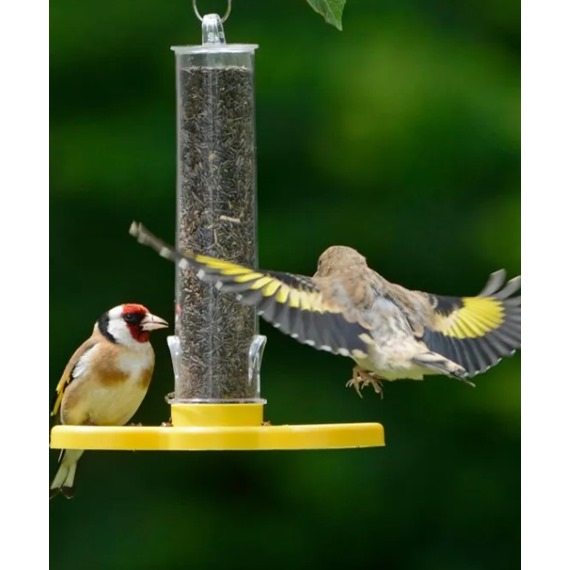 Goldfinch Taster Feeder 