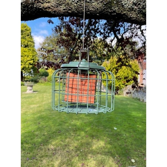 Nuttery Oval Caged Feeder 