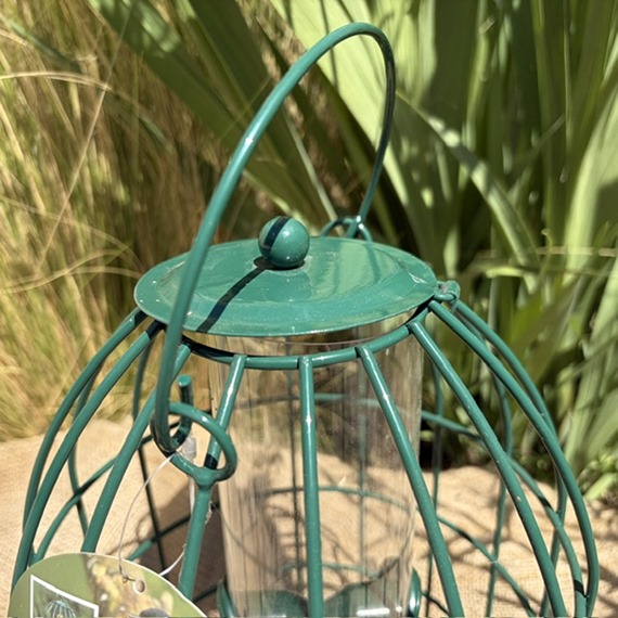 Clearance Paris Seed Feeder