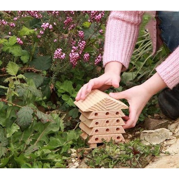 Bertie's Mini Bees House 