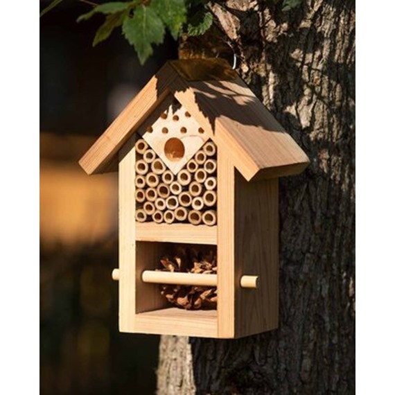 Nooks & Crannies Insect House