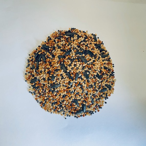 AB12 Small Seed Mix SILVER