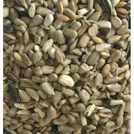 large bird seeds