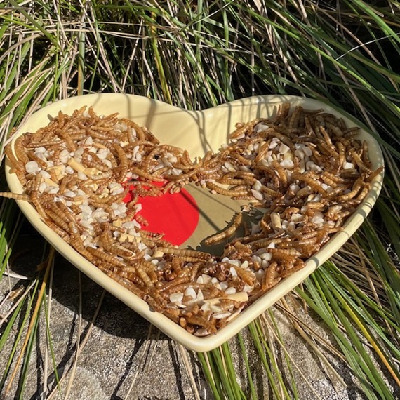 I Love Robins Ceramic Dish - Free 1kg Deluxe Robin Crumble