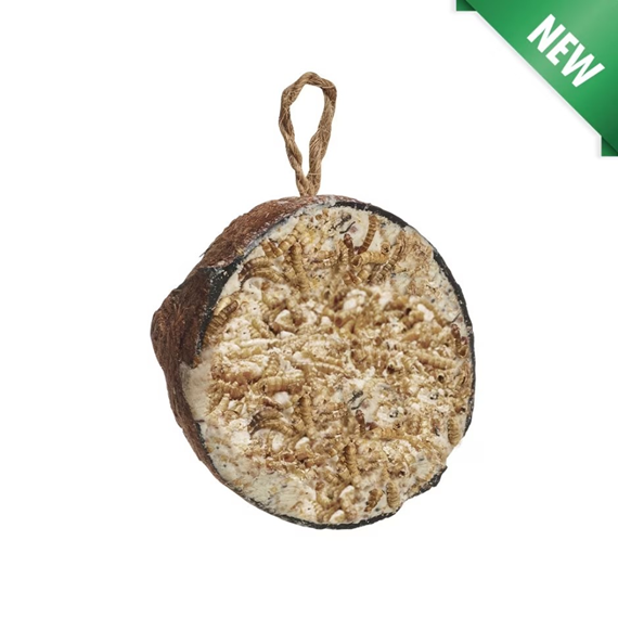 Half Coconut With Mealworms Single