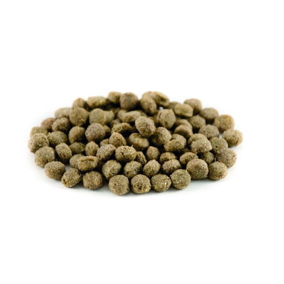 Duck and swan pellets