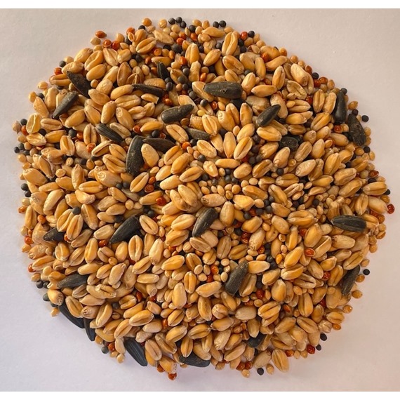 AB12 Complete - Standard Mix