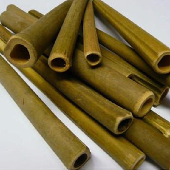 Drilled Wooden Bee Nesting Tubes - pack of 50