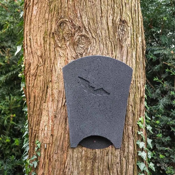 Bat Box Beaumaris Midi WoodStone