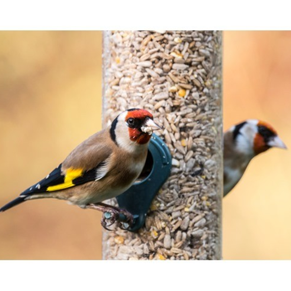 High Energy Blend™ SAVE 10%