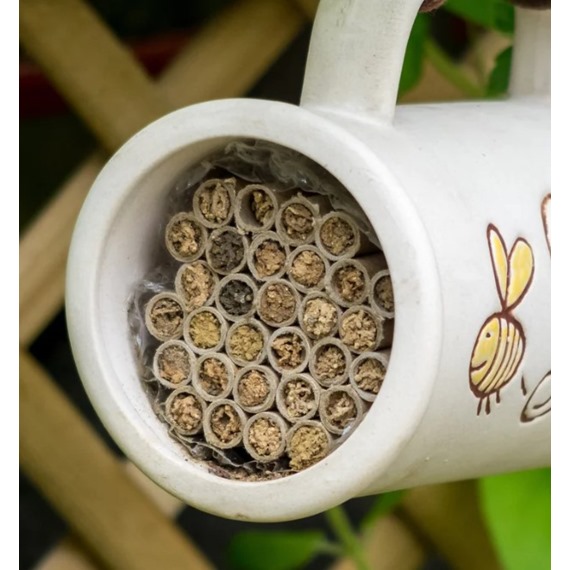 Bee Mug