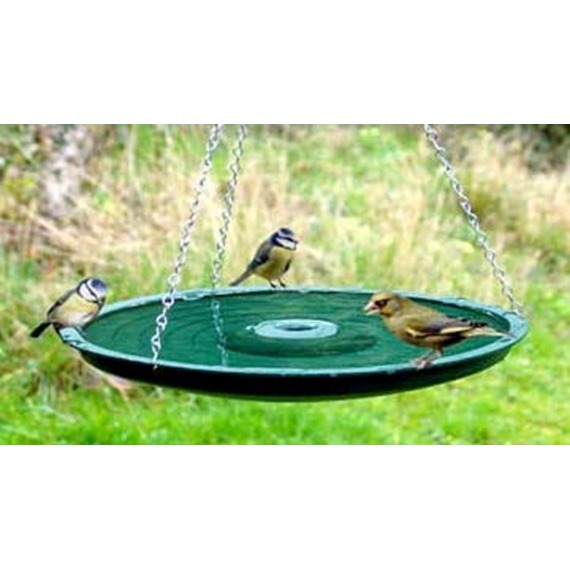 Anywhere Bird Bath