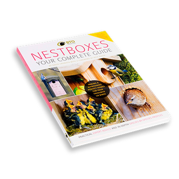 Nest Boxes - Your Complete Guide