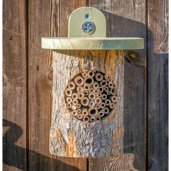 Natural Log Bee Home