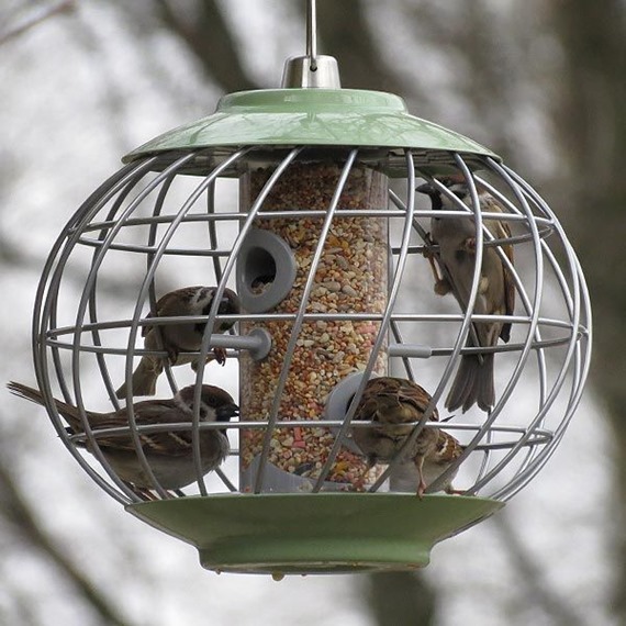 Nuttery Helix Seed Feeder