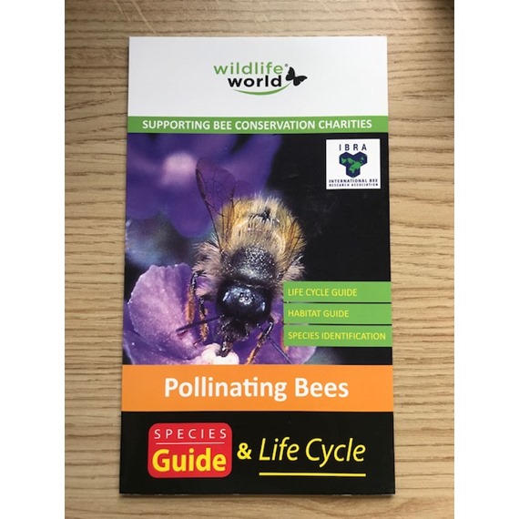 Species Guide to Pollinating Bees