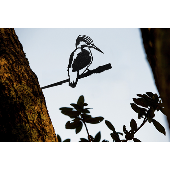 Metal Bird - Kingfisher 