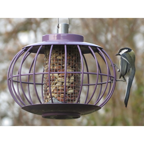 Nuttery Lantern Nut Feeder