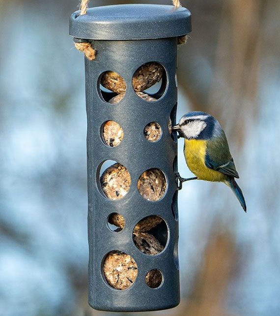 Rome Fat Ball Feeder - Anthracite