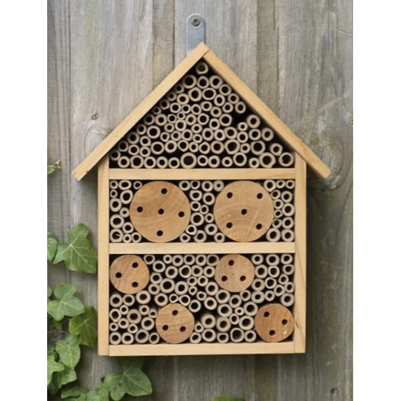 Nooks & Crannies Large Insect House