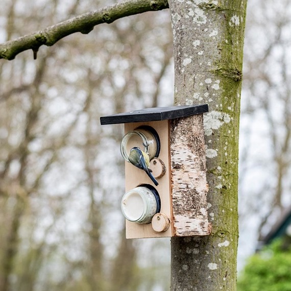 Quebec Double Peanut Feeder