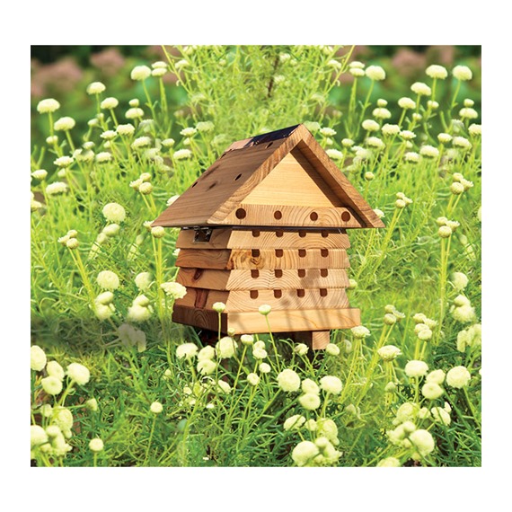 Interactive Solitary Bee Hive