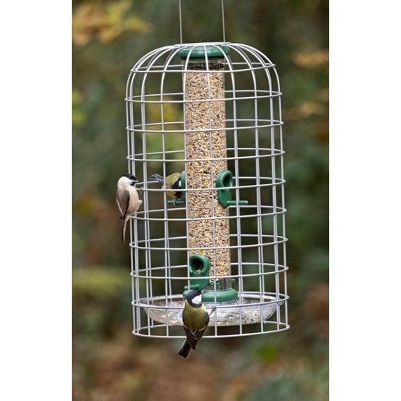 Bird Feeder with Guardian Cage