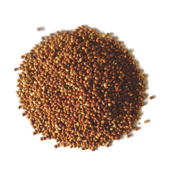 Red millet for birds