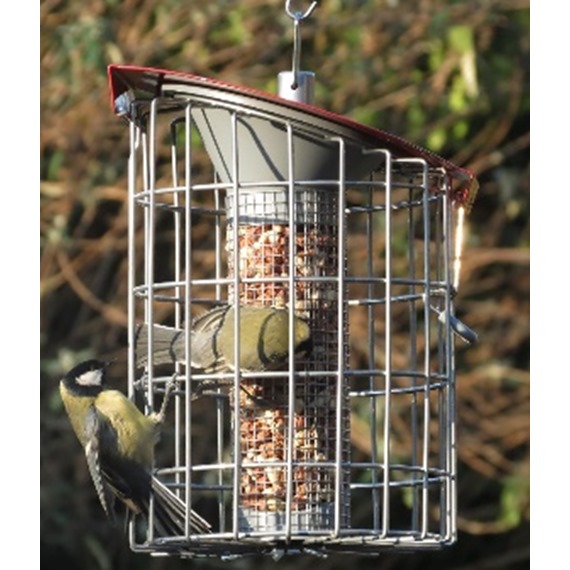 Nuttery Roundhaus Squirrel & Predator Proof Peanut Feeder