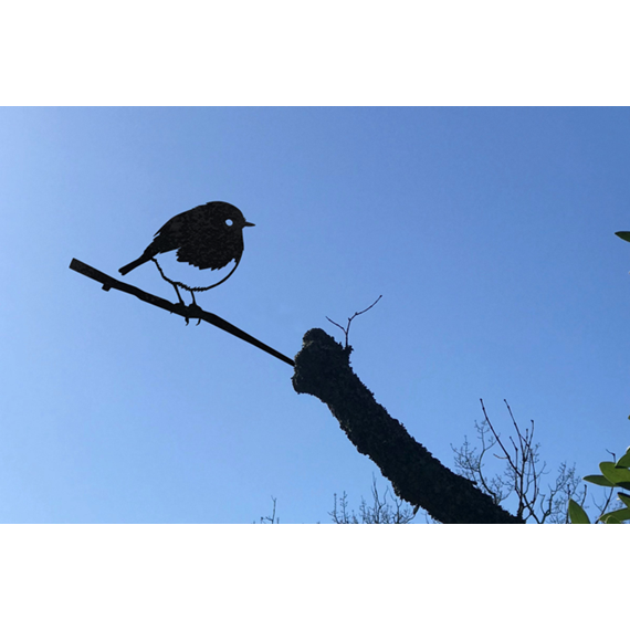 Metal Bird - Robin 