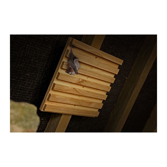 Simon King Bat Rack Hanging Roost 