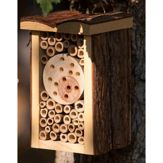 Nooks & Crannies Insect Cabin