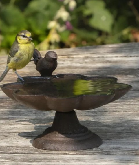 Old Iron Buttercup Dish 