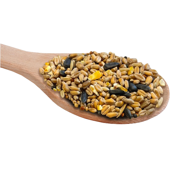 Birdie Basics™ Bronze Bird Seed Mix
