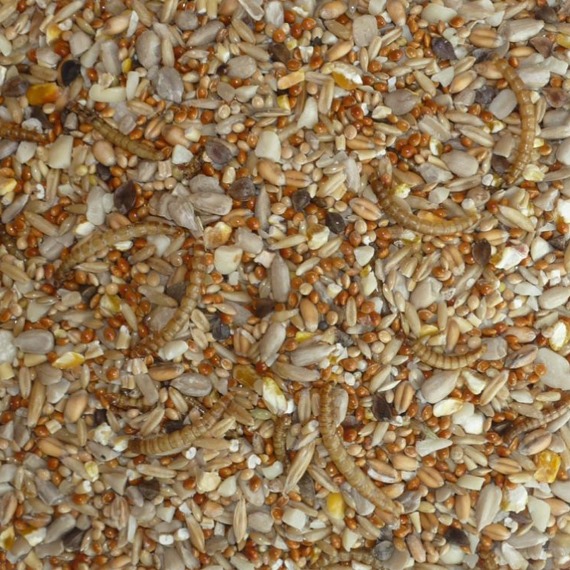 Sparrow Seed Mix™ Bird Food for Sparrows