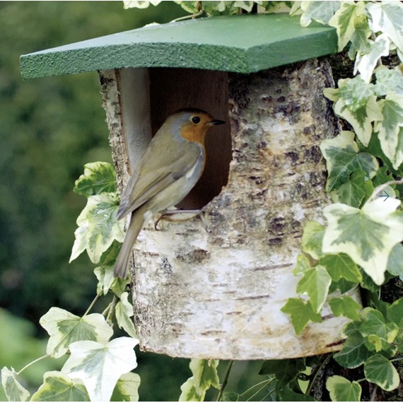 National Trust Birch Log Open Front Nest Box