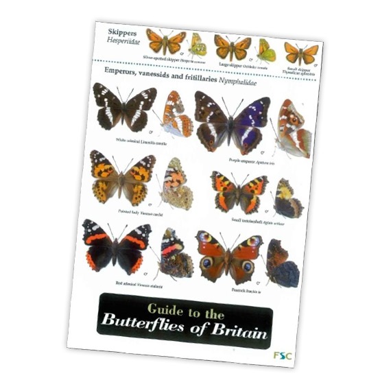 Field Guide to the Butterflies of Britain