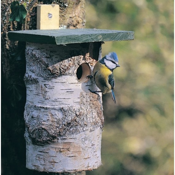 National Trust Birch Log Nest Box 32mm