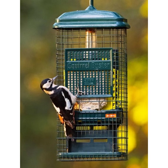Squirrel Buster™ Suet 