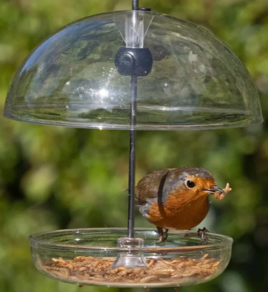 I Love Robins Pearl Feeder