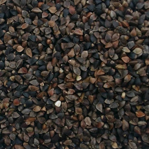 buckwheat bird seed