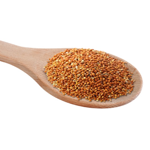 Red Millet