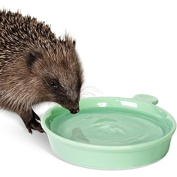 Ceramic Hedgehog Food and Water Bowl