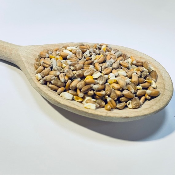 Traditional Poultry Corn