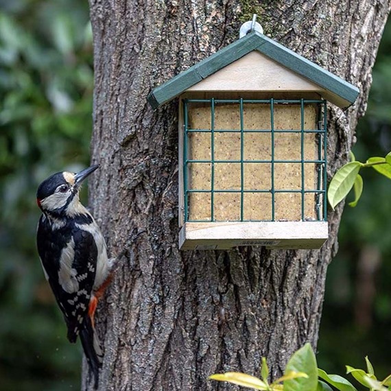 Vegan Suet Block with Sunflower Hearts 315g