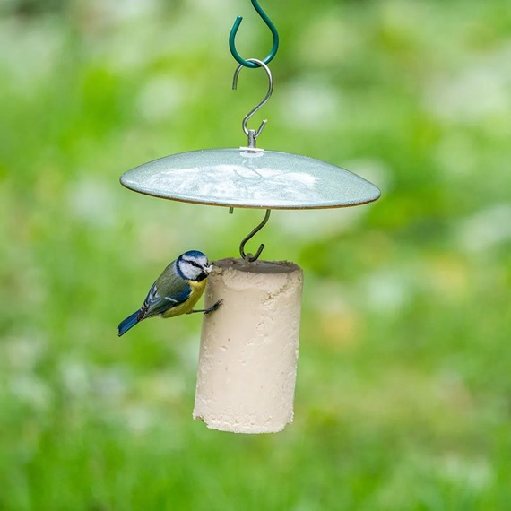 Vierno Peanut Cake Feeder