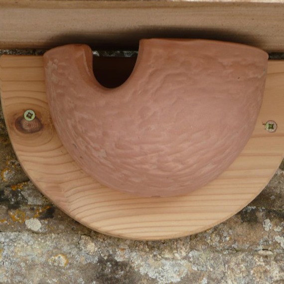 House Martin Ceramic Bowl