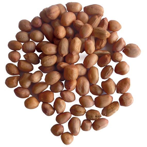 Premium peanuts for wild birds