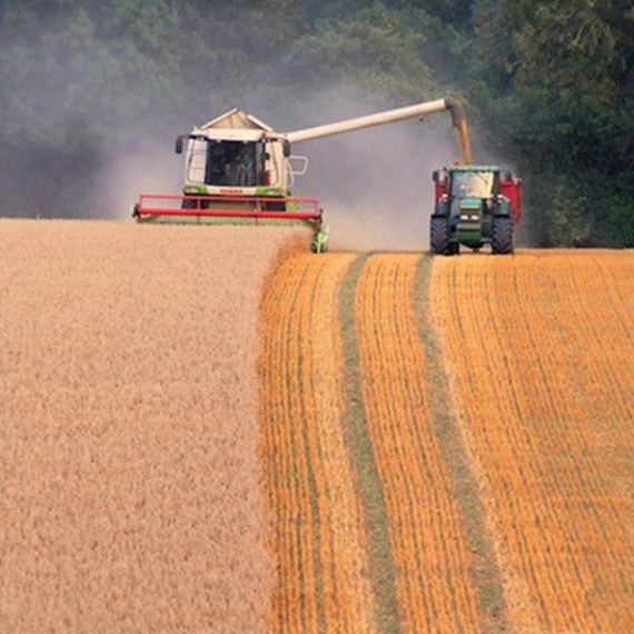 Original Farm Gold™ - SAVE 15%