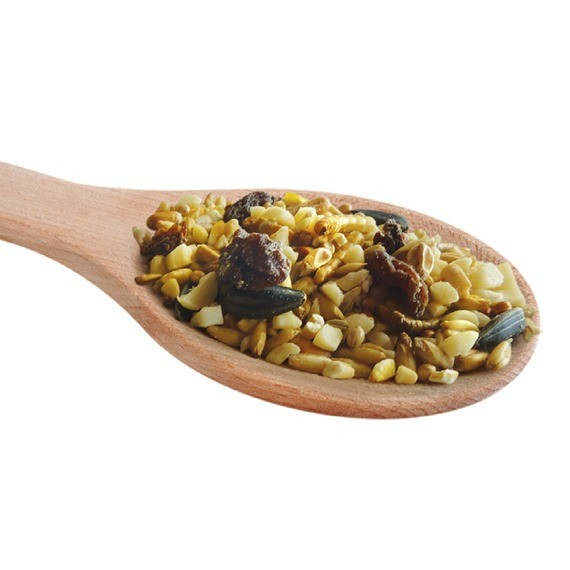 Birdie Bistro Offer plus free Bird Cake Mix